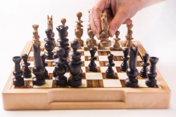 Шахматная Борьба Белом Фоне — стоковое фото