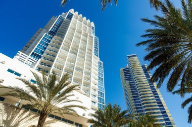 Miami Beach yaşam tarzı