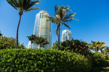 Miami plajı silüeti