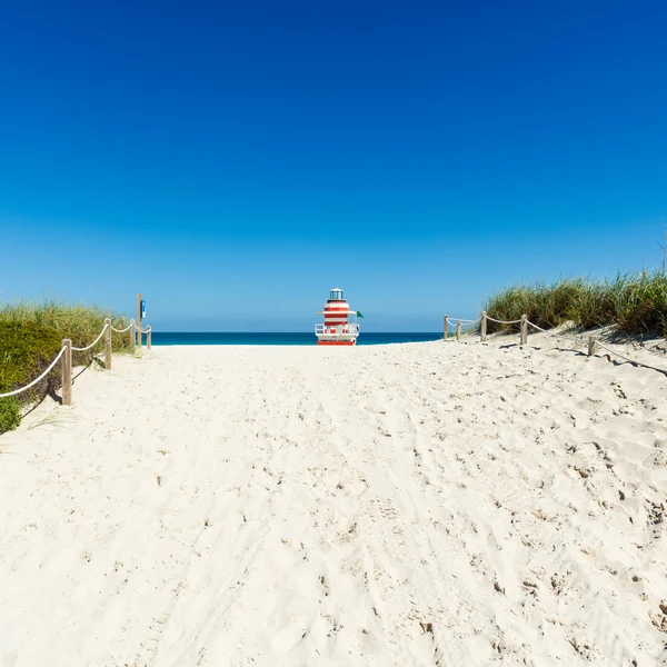 Miami Beach schoonheid — Stockfoto