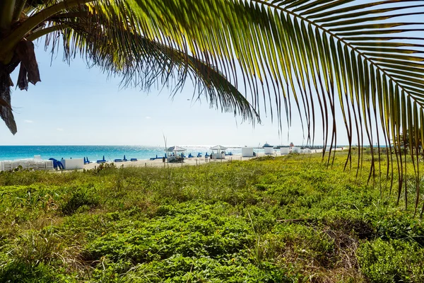 Relaxation de Miami Beach — Photo