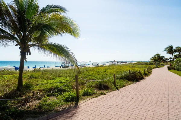 Miami Beach skönhet — Stockfoto