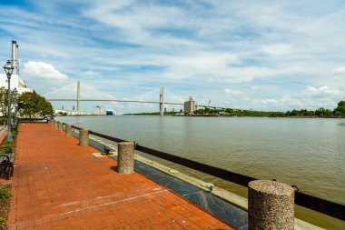 Tarihi Savannah River