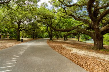 Audubon Park New Orleans