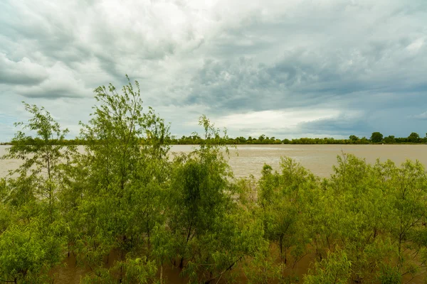 Rivière Mississippi à La Nouvelle-Orléans — Photo