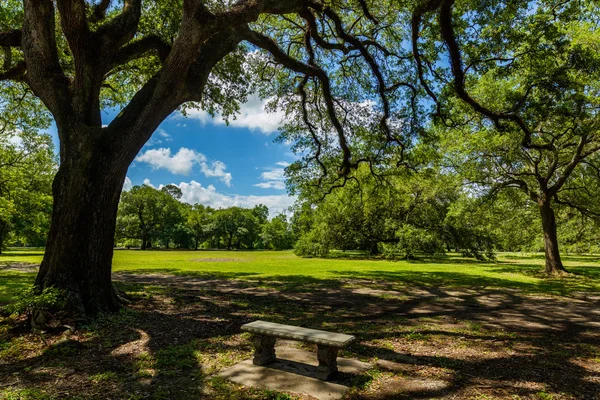 Audubon Park New Orleans — Stock Fotó