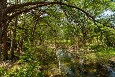 Texas Hill Country