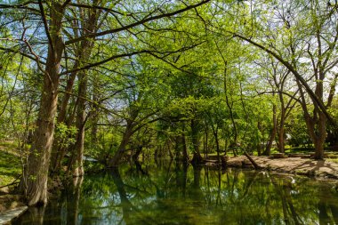 Texas Hill Country