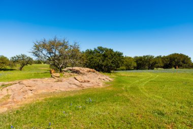 Texas Hill Country