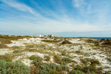 Florida beach kumulları