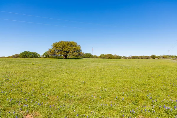 Texas montaña país — Foto de Stock