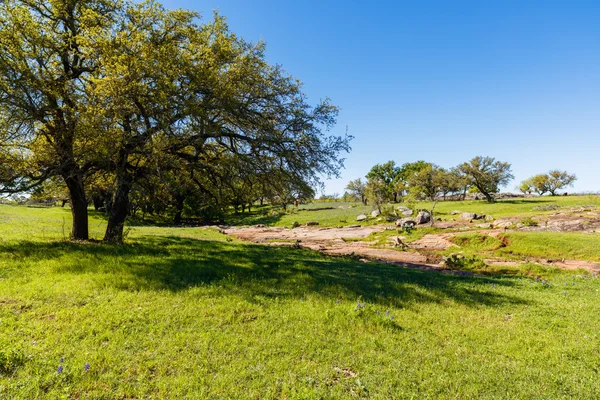 Texas Hügelland — Stockfoto