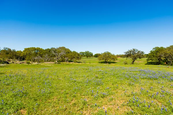 Texas-dombvidék — Stock Fotó