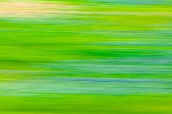 Bluebonnet Wildflower blur — Stock Photo, Image