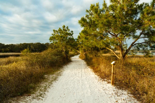 Sendero de naturaleza bonita — Foto de Stock