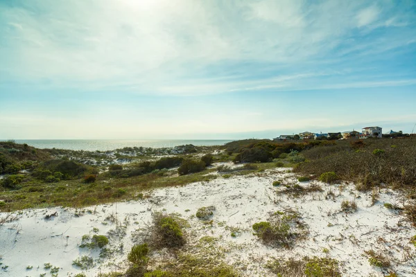 Florida dune da spiaggia — Foto Stock