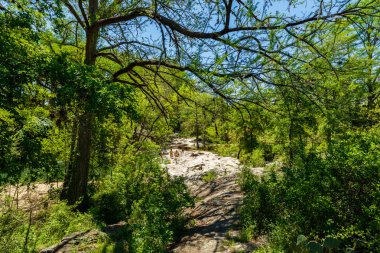 Krause Springs Texas