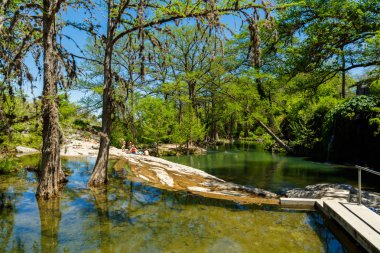 Krause Springs Texas