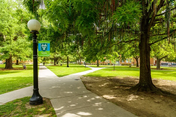 Tulane University Campus — Stock Photo, Image