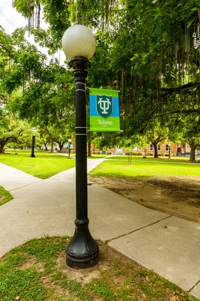 Πανεπιστημιούπολη Πανεπιστήμιο Tulane — Φωτογραφία Αρχείου