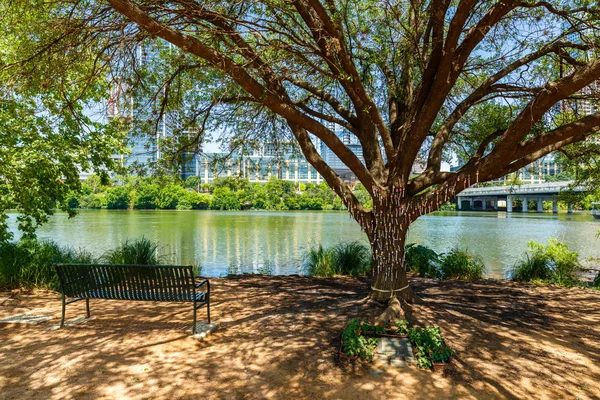 Árbol del Recuerdo — Foto de Stock