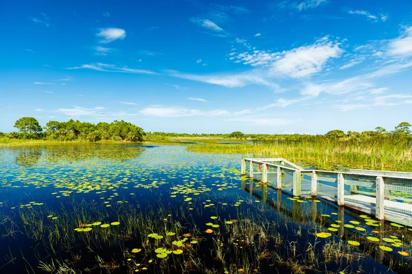 Florida naturreservat — Stockfoto