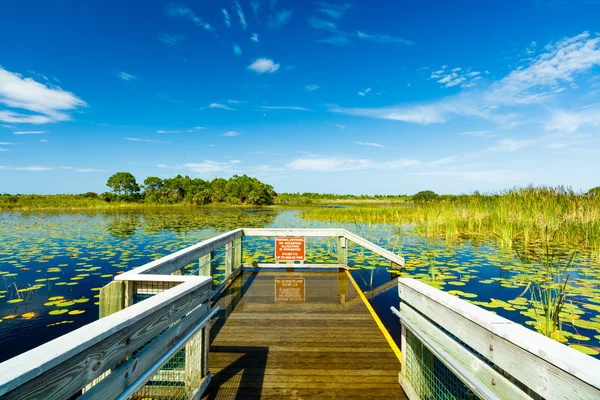 Florida Nature Preserve — Stock Photo, Image