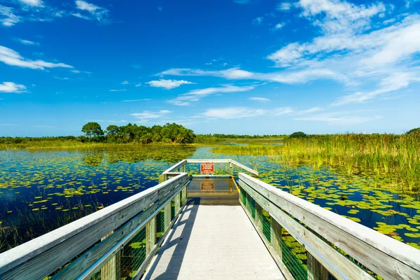 Florida naturreservat — Stockfoto