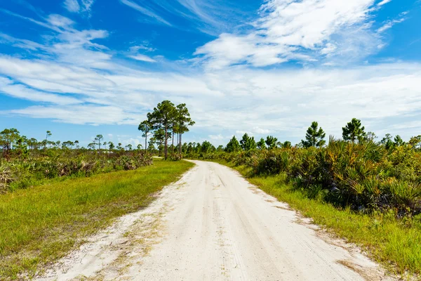 Florida natuurpark — Stockfoto