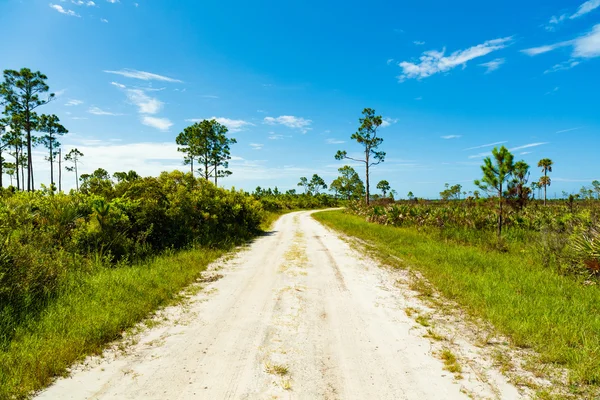 Florida Nature Preserve — Stock Photo, Image