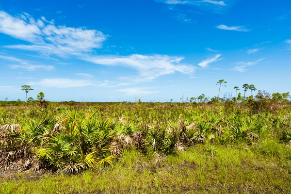 Florda Naturschutzgebiet — Stockfoto