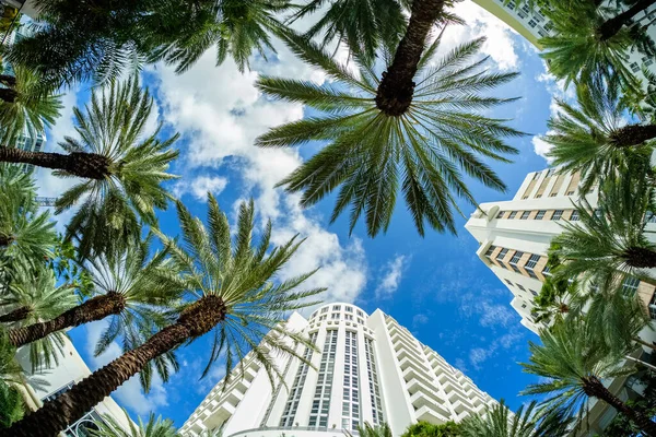 Όμορφη Miami Beach Fish Eye Cityscape Art Deco Αρχιτεκτονική Και — Φωτογραφία Αρχείου