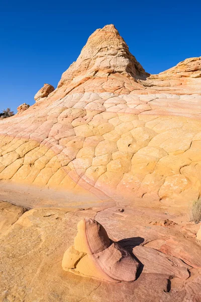 Kuzey Arizona Daki Vermilion Cliffs Ulusal Anıtı Nın Güneyindeki Coyote — Stok fotoğraf