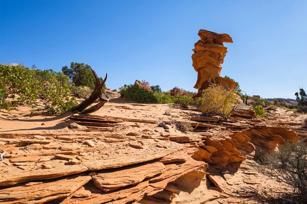 Hermoso Paisaje Formaciones Rocosas Coyote Buttes South Monumento Nacional Vermilion — Foto de Stock