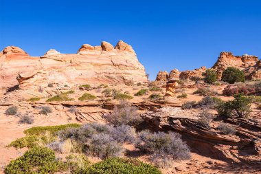 Kuzey Arizona 'daki Vermilion Cliffs Ulusal Anıtı' nın güneyindeki Coyote Buttes 'in güzel manzarası ve kaya oluşumları..