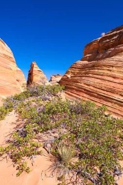 Kuzey Arizona 'daki Vermilion Cliffs Ulusal Anıtı' nın güneyindeki Coyote Buttes 'in güzel manzarası ve kaya oluşumları..