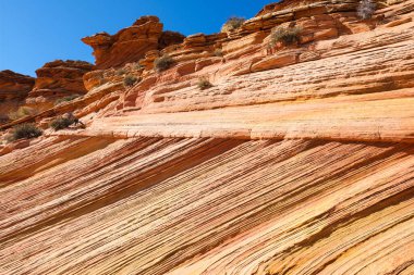 Kuzey Arizona 'daki Vermilion Cliffs Ulusal Anıtı' nın güneyindeki Coyote Buttes 'in güzel manzarası ve kaya oluşumları..