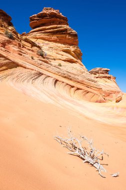 Kuzey Arizona 'daki Vermilion Cliffs Ulusal Anıtı' nın güneyindeki Coyote Buttes 'in güzel manzarası ve kaya oluşumları..