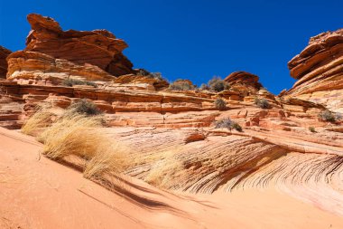 Kuzey Arizona 'daki Vermilion Cliffs Ulusal Anıtı' nın güneyindeki Coyote Buttes 'in güzel manzarası ve kaya oluşumları..