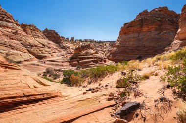 Kuzey Arizona 'daki Vermilion Cliffs Ulusal Anıtı' nın güneyindeki Coyote Buttes 'in güzel manzarası ve kaya oluşumları..