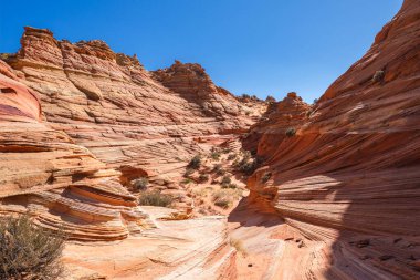 Kuzey Arizona 'daki Vermilion Cliffs Ulusal Anıtı' nın güneyindeki Coyote Buttes 'in güzel manzarası ve kaya oluşumları..