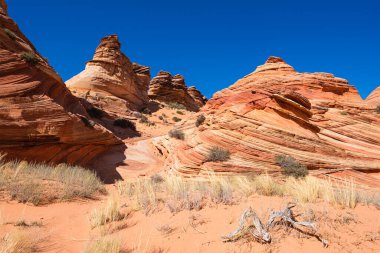 Kuzey Arizona 'daki Vermilion Cliffs Ulusal Anıtı' nın güneyindeki Coyote Buttes 'in güzel manzarası ve kaya oluşumları..