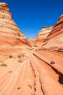 Kuzey Arizona 'daki Vermilion Cliffs Ulusal Anıtı' nın güneyindeki Coyote Buttes 'in güzel manzarası ve kaya oluşumları..