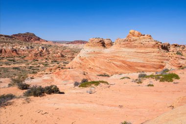 Kuzey Arizona 'daki Vermilion Cliffs Ulusal Anıtı' nın güneyindeki Coyote Buttes 'in güzel manzarası ve kaya oluşumları..