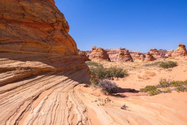 Kuzey Arizona 'daki Vermilion Cliffs Ulusal Anıtı' nın güneyindeki Coyote Buttes 'in güzel manzarası ve kaya oluşumları..