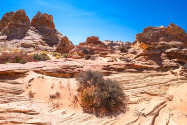 Kuzey Arizona 'daki Vermilion Cliffs Ulusal Anıtı' nın güneyindeki Coyote Buttes 'in güzel manzarası ve kaya oluşumları..