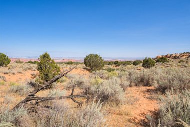 Kuzey Arizona 'daki Vermilion Cliffs Ulusal Anıtı' nın güneyindeki Coyote Buttes 'in güzel manzarası ve kaya oluşumları..