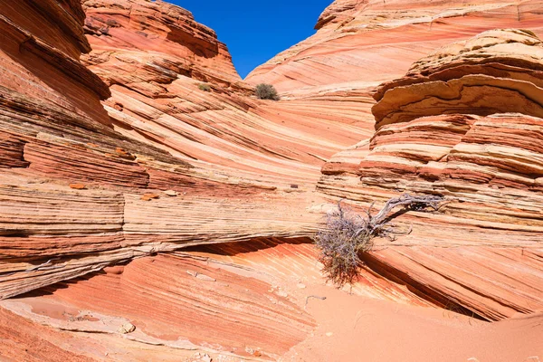 Beautiful Landscape Rock Formations Coyote Buttes South Vermilion Cliffs National — Stock Photo, Image