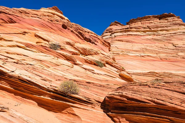 Красивый Ландшафт Скальные Образования Койот Buttes South Вермилион Скалы Национальный — стоковое фото