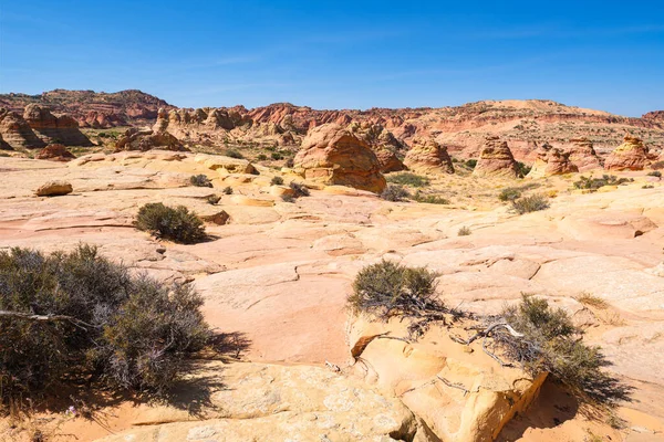 Beautiful Landscape Rock Formations Coyote Buttes South Vermilion Cliffs National — Stock Photo, Image